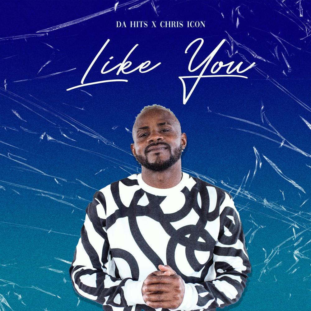 Like You (feat. Chris Icon)