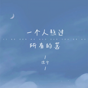 Listen to 一个人熬过所有的苦 song with lyrics from 沈宁