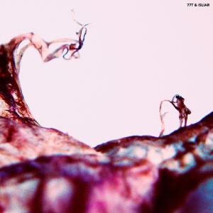 收聽77T的Liha歌詞歌曲