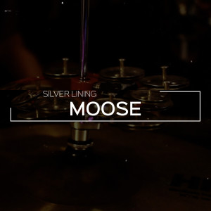 Album Silver Lining oleh Moose
