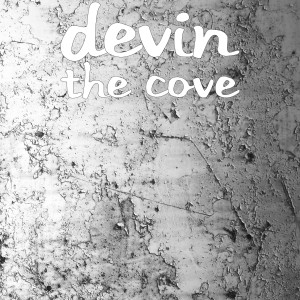 Devin的專輯The Cove