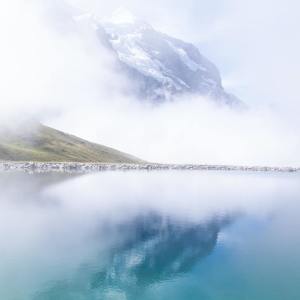 收聽Nature Sounds Nature Music的Harmony歌詞歌曲