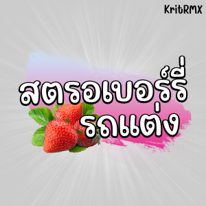Album สตรอเบอร์รี่ รถแต่ง from KritRMX