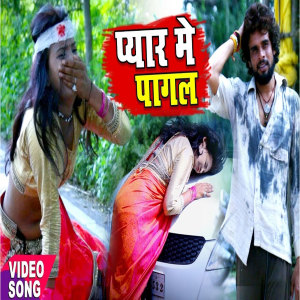 Album Pyar Me Pagal from Chhotu Lal Yadav