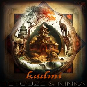 ดาวน์โหลดและฟังเพลง Dreams of the trees (feat. Ninka Nassif) พร้อมเนื้อเพลงจาก Tetouze