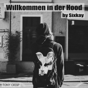 Listen to Willkommen in der Hood (Explicit) song with lyrics from Demograffics