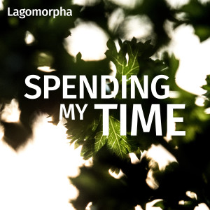 ดาวน์โหลดและฟังเพลง Spending My Time พร้อมเนื้อเพลงจาก Lagomorpha