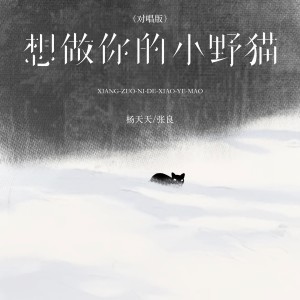 Album 想做你的小野猫（对唱版） from 杨天天