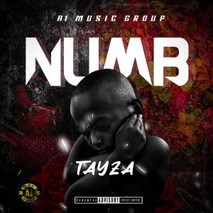 Tayza的專輯Numb