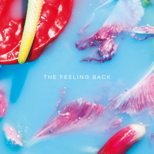 Album The Feeling Back (Edit) from Beauty Sleep