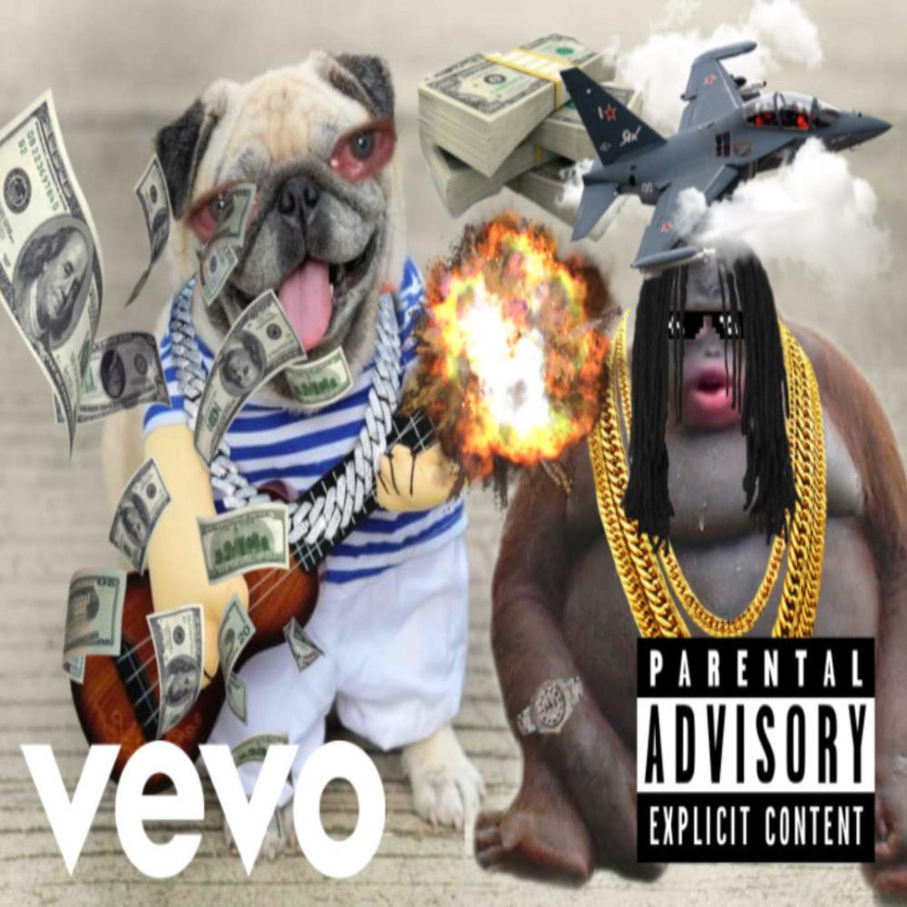 OPP STOPPAS (Explicit)