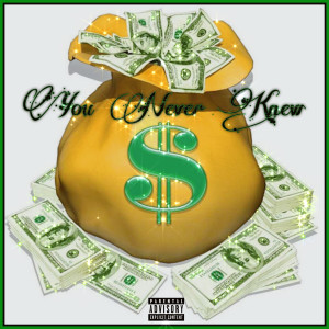 Dengarkan You Never Knew (Explicit) lagu dari tranelane dengan lirik