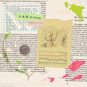 Listen to 空邮 (待 取) song with lyrics from 话梅鹿
