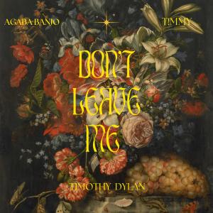 收聽T!mmy的Don't Leave me (feat. Agaba Banjo & Timothy Dylan)歌詞歌曲