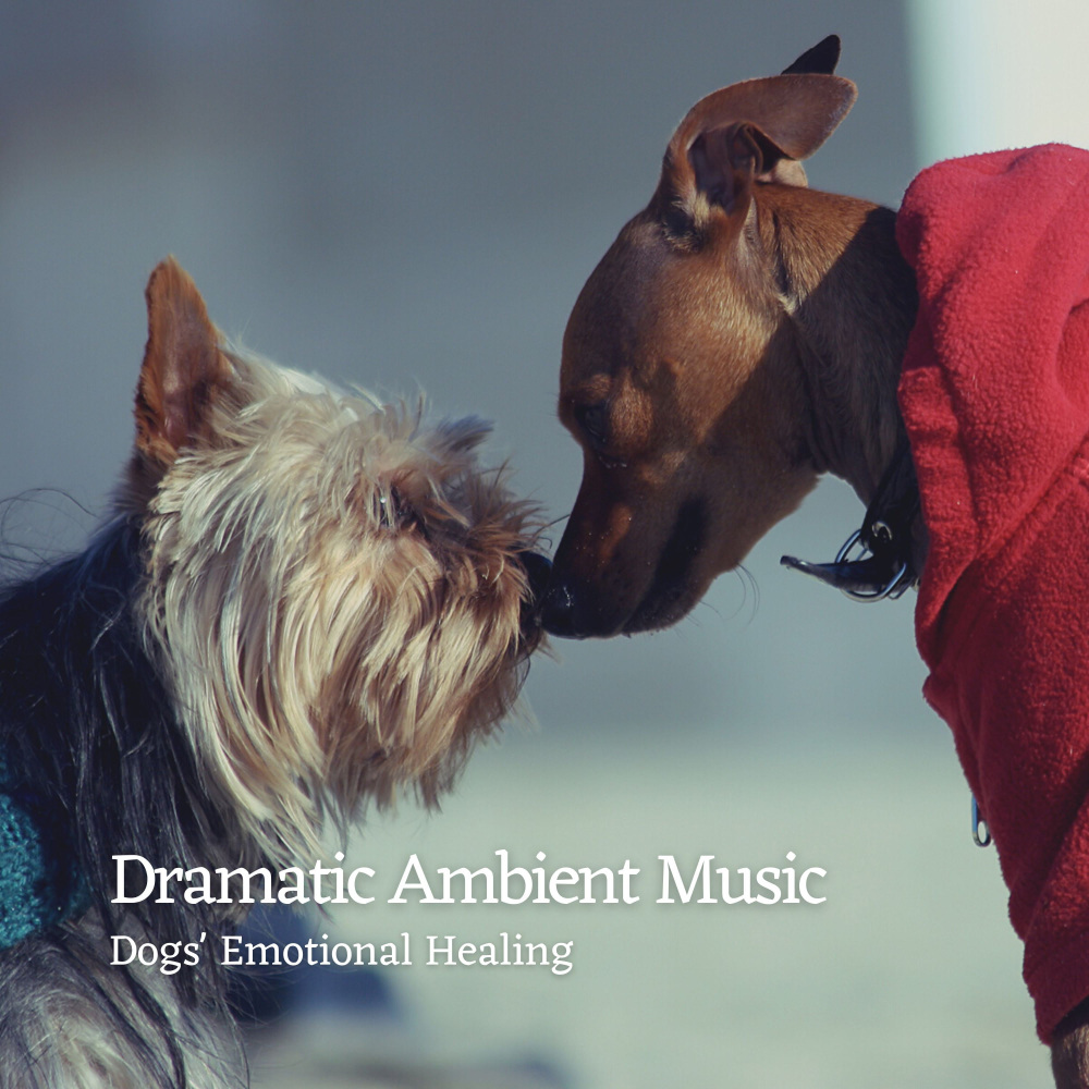 Soothing Symphony