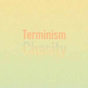 Various的专辑Terminism Chasity