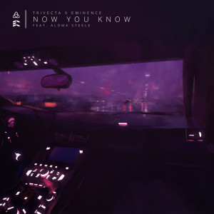 Listen to Now You Know (feat. Aloma Steele) song with lyrics from Trivecta