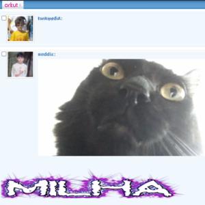 Listen to MILHA (Explicit) song with lyrics from roddie