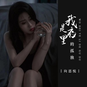收聽向思悅的我是夜裏的孤獨 (DJ九銳版)歌詞歌曲