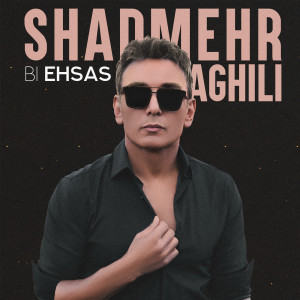 Listen to Bi Ehsas song with lyrics from Shadmehr Aghili