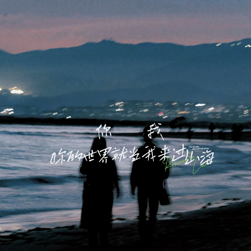 你我（你的世界就当我来过）