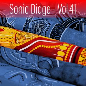Album Sonic Didge, Vol. 41 from Gene Pierson