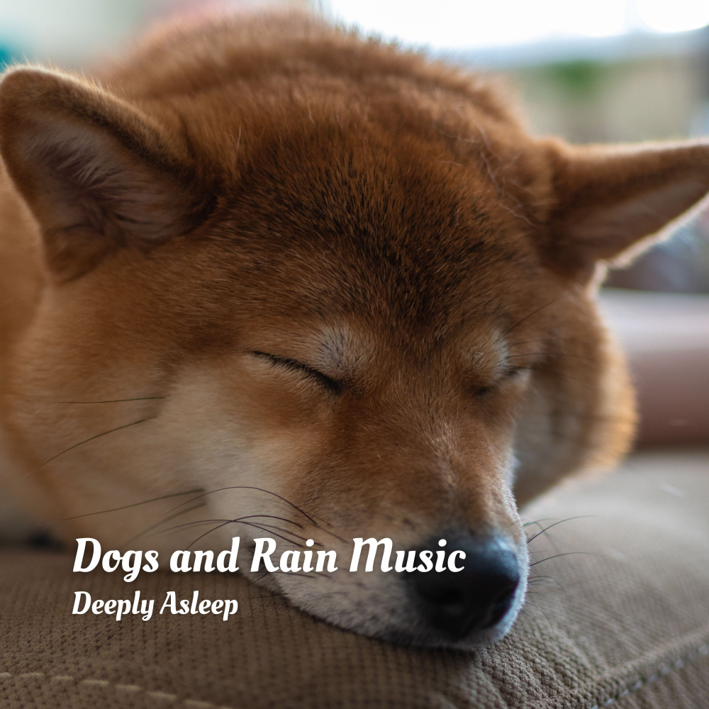 Meditate Through Thunder