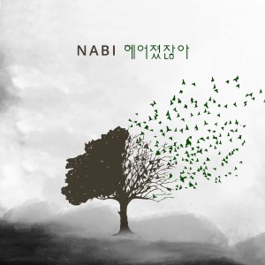 Album 헤어졌잖아 oleh NABI