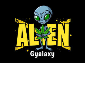 อัลบัม Alien (Explicit) ศิลปิน Gyalaxy