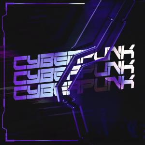 Tookey的專輯CYBERPUNK
