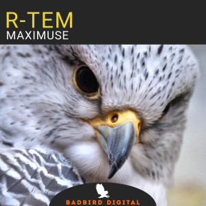 Dengarkan Maximuse lagu dari R-Tem dengan lirik