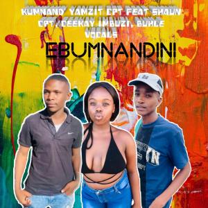 ดาวน์โหลดและฟังเพลง Ebumnandini (feat. Ceekay RSA, Buhle Vocals & Shaun CPT) (Explicit) พร้อมเนื้อเพลงจาก Kumnand' YamziT CPT