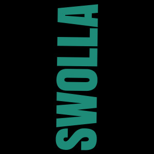 Album Swolla from Villain