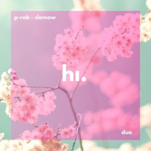 Listen to Dua song with lyrics from P-Rob
