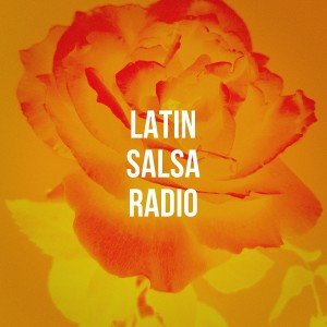 Afro Cuban All Stars的专辑Latin Salsa Radio