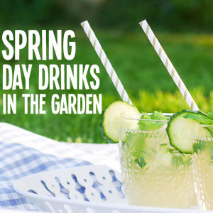 Album Spring Day Drinks In The Garden from Various