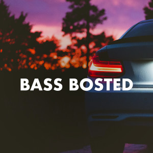 Various Artists的專輯Bass Bosted (Explicit)