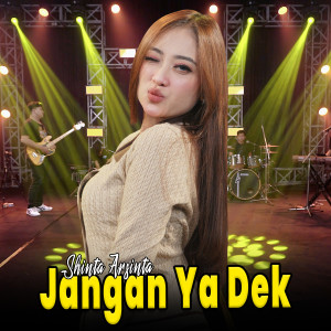 Album Jangan Ya Dek from Shinta Arsinta