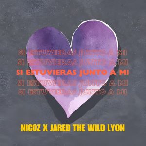 Album Si Estuvieras Junto a Mi from Nicoz