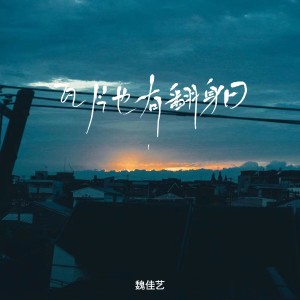 Album 瓦片也有翻身日（DJ何友版） from 魏佳艺