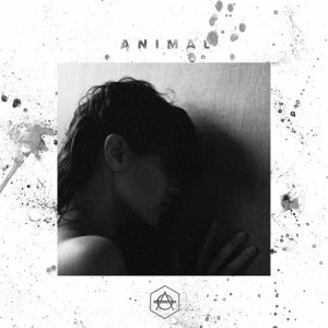 ดาวน์โหลดและฟังเพลง Animal พร้อมเนื้อเพลงจาก Sumera