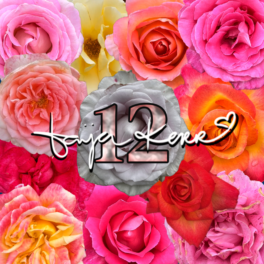 12 Roses