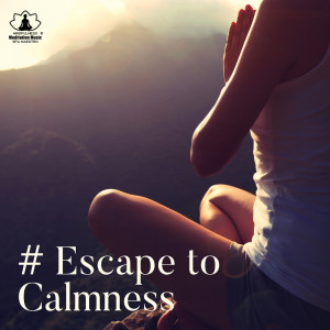 Dengarkan lagu Transformation nyanyian Mindfulness Meditation Music Spa Maestro dengan lirik