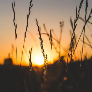 ดาวน์โหลดและฟังเพลง 丢了幸福赢了孤独 พร้อมเนื้อเพลงจาก 南方云