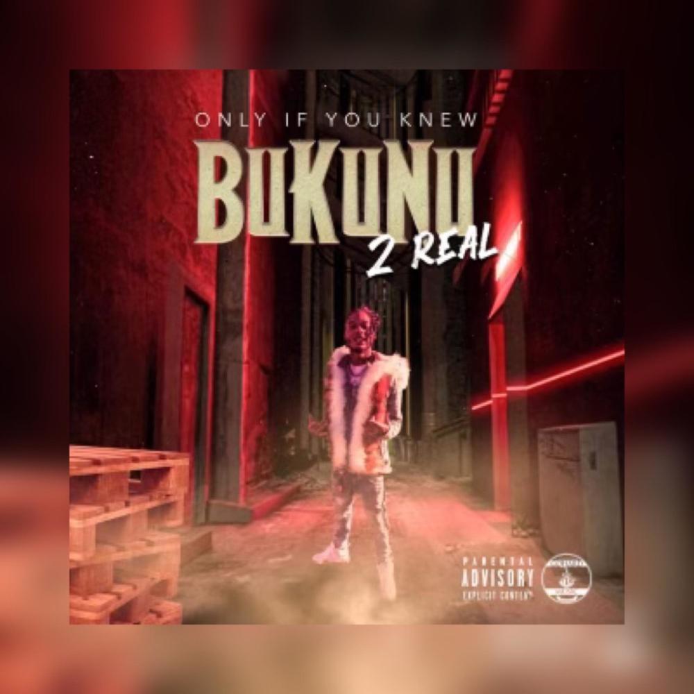 Stepped On(BONUS TRACK)(feat. Cheeze & Tev Money) (Explicit)