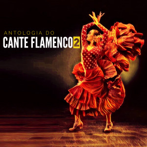 Listen to Malagueñas song with lyrics from Niño De Almadén