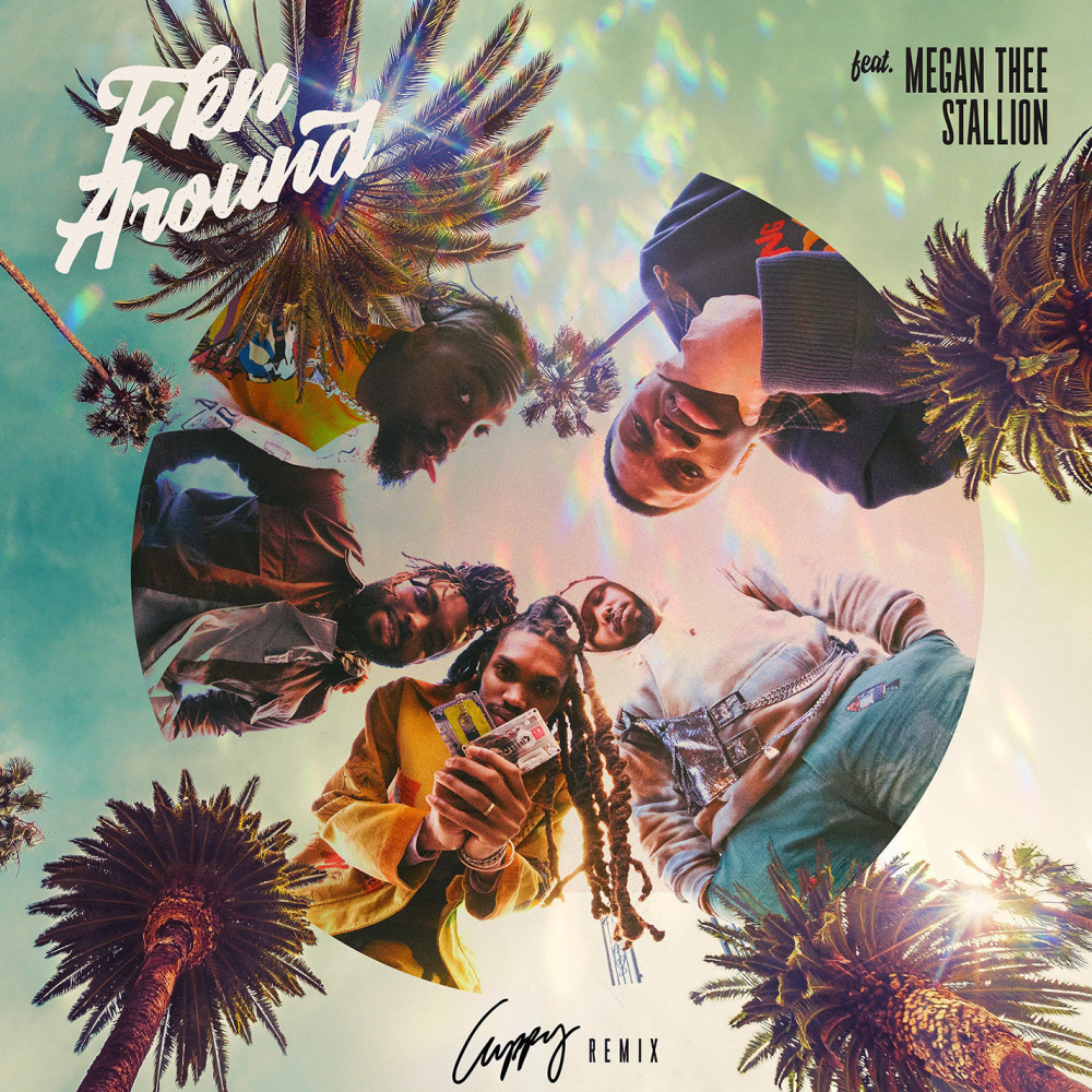 Fkn Around (feat. Megan Thee Stallion) (Cuppy Remix) (Explicit)