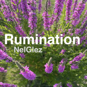 Listen to Rumination song with lyrics from NelGlez