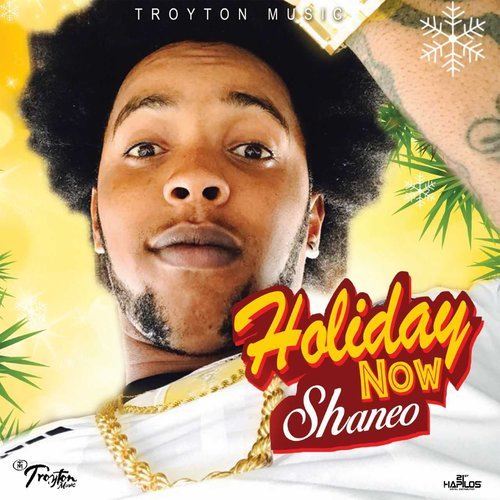 Holiday Now (Radio Edit)