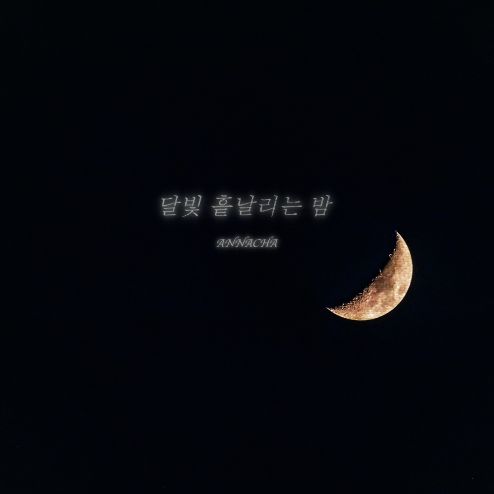 달빛 흩날리는 밤 (Moonlight Night) (Inst.)